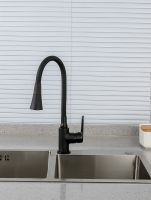 Смеситель для кухни Frap H17-6 Черный матовый арт-F4417-6 — фото 14, Смесители для кухни