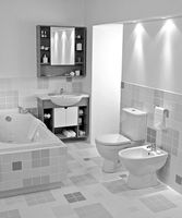 Унитаз компакт Jika Lyra 2423.6 с бачком без сиденья арт-8242360002429 — фото 2, Напольные унитазы