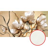 Фреска Ortograf 3D 6701 Фактура флок FLK Флизелин (5*2,7) Бежевый, Цветы/Абстракция арт-6701 (флок FLK) — фото 1, Фрески