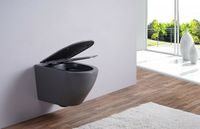 Унитаз Esbano Azalea подвесной Серый матовый с сиденьем Микролифт арт-ESUPAZALGM — фото 10, Подвесные унитазы