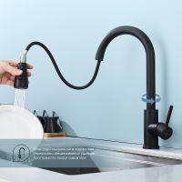 Смеситель для кухни Splenka Черный матовый арт-S203.49.06 — фото 2, Смесители для кухни