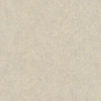 Обои Zambaiti Parati Trussardi VI Винил на флизелине (1,06*10,05) Коричневый/Серый, Штукатурка арт-46036 — фото 1, Обои для стен