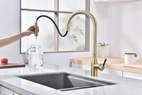 Смеситель для кухни Paulmark Universal Светлое брашированное золото арт-Un213880-SBG — фото 7, Смесители для кухни