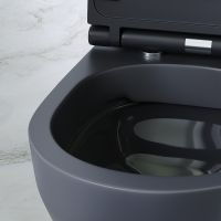 Комплект унитаза с инсталляцией AM.PM Spirit V2.0 FlashClean с сиденьем Микролифт и клавишей смыва Хром глянцевый арт-IS49051.701700MB — фото 7, Комплекты унитаз + инсталляция