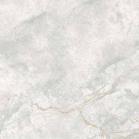 Керамогранит A-Ceramica Elison Polished 166687 60х60 см арт-00-00048924 — фото 3, Керамогранит