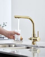 Смеситель для кухни Paulmark Essen Золото арт-Es213011-G — фото 5, Смесители для кухни