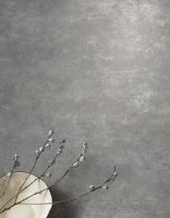 Товар: Керамогранит Saime Icon Grey Sat Ret 90х90 см арт-T621385 - фото 2 Керамогранит Saime Icon Grey Sat Ret 90х90 см арт-T621385 — фото 2, Керамогранит