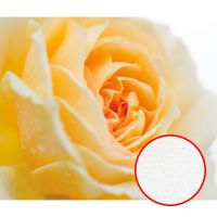 Фреска Ortograf Цветы 5547 Фактура бархат FX Флизелин (3,2*2,7) Желтый, Цветы арт-5547 (бархат FX) — фото 1, Фрески