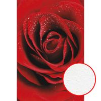 Фреска Ortograf Цветы 30036 Фактура бархат FX Флизелин (1,8*2,7) Красный, Цветы арт-30036 (бархат FX) — фото 1, Фрески