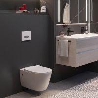 Комплект унитаза с инсталляцией Berges Novum Rimless с сиденьем Микролифт и Белой Хром глянец клавишей смыва арт-043214 — фото 7, Комплекты унитаз + инсталляция