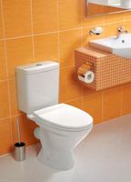 Унитаз Santek Лига 1.WH30.2.197 с бачком и сиденьем арт-1WH302197 — фото 3, Напольные унитазы