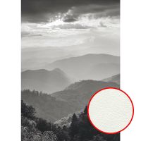 Фреска Ortograf Горы 33428 Фактура флок FLK Флизелин (1,9*2,7) Серый, Горы/Пейзаж/Природа арт-33428 (флок FLK) — фото 1, Фрески