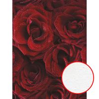 Фреска Ortograf Цветы 10542 Фактура бархат FX Флизелин (1,8*2,4) Красный, Цветы арт-10542 (бархат FX) — фото 1, Фрески