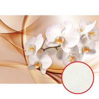 Фреска Ortograf 3D 6691 Фактура флок FLK Флизелин (3,9*2,7) Оранжевый/Белый, Цветы/Абстракция арт-6691 (флок FLK) — фото 1, Фрески