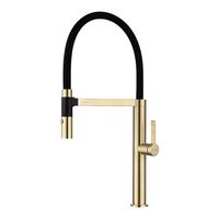 Смеситель для кухни Paulmark Leader Светлое брашированное золото арт-Le214101-SBG — фото 1, Смесители для кухни