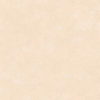 Обои LOYMINA Golden Library Винил на флизелине (1*10,05) Бежевый, Штукатурка арт-TDG7 002/2 — фото 1, Обои для стен