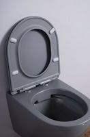 Унитаз Esbano Azalea подвесной Серый матовый с сиденьем Микролифт арт-ESUPAZALGM — фото 8, Подвесные унитазы