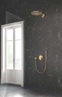 Держатель ручного душа Grohe Rainshower Холодный рассвет арт-27074GL0 — фото 2, Держатели для душа