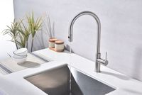 Смеситель для кухни Paulmark Galant Брашированная сталь арт-Ga213077-BS — фото 10, Смесители для кухни