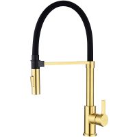 Смеситель для кухни Paulmark Halt Брашированное золото арт-Ha214021-BG — фото 1, Смесители для кухни