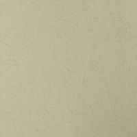 Обои Bernardo Bartalucci Legend Флизелин (1,06*10) Серый, Однотонные арт-5068-88 — фото 1, Обои для стен