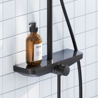 Душевая система Damixa Merkur Черная матовая арт-940730300 — фото 3, Душевые стойки