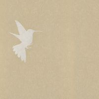 Обои Bernardo Bartalucci Legend Флизелин (1,06*10) Серый/Бежевый, Птицы арт-5071-2 — фото 1, Обои для стен
