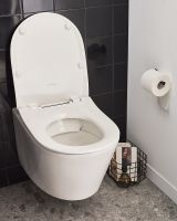 Унитаз Jacob Delafon Bastille подвесной без сиденья арт-EDAB102-00 — фото 14, Подвесные унитазы