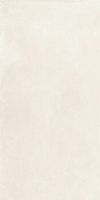 Керамогранит Ceramica D Imola Azuma Up 12WRm 60х120 см арт-A.Up12WRm — фото 1, Керамогранит