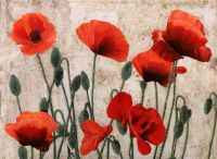 Фреска Ortograf Цветы 11834 Фактура флок FLK Флизелин (2,7*2,7) Бежевый/Зеленый/Красный, Цветы/Живопись арт-11834 (флок FLK) — фото 2, Фрески