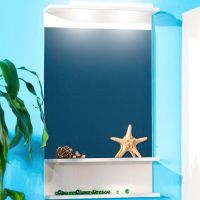 Зеркало Бриклаер Чили 55 с подсветкой Светлая лиственница арт-4627125414930 — фото 2, Зеркала в ванную комнату