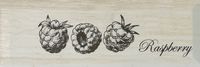 Керамический декор Monopole Ceramica Fruit Decor Creta Raspberry 10х30 см арт-Decor Fruit Creta Raspberry 10x30 — фото 1, Керамическая плитка