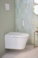 Комплект унитаза биде с инсталляцией Jacob Delafon Seine с сиденьем Микролифт и Белой глянцевой клавишей смыва арт-E34360-00 — фото 12, Умные унитазы