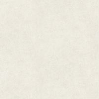Обои AS Creation Accent Винил на флизелине (1,06*10,05) Белый, Штукатурка арт-38331-1 — фото 1, Обои для стен