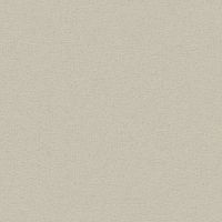 Обои AS Creation Tempo Винил на флизелине (1,06*10,05) Коричневый, Однотонные арт-39590-2 — фото 1, Обои для стен