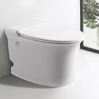 Унитаз Ceruttispa Nautilus Pulse CT приставной с импульсным смывом с сиденьем Микролифт арт-10200 — фото 2, Приставные унитазы