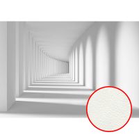 Фреска Ortograf 3D 3256 Фактура флок FLK Флизелин (3,6*2,5) Белый, Архитектура арт-3256 (флок FLK) — фото 1, Фрески