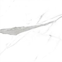 Керамогранит Geotiles Nilo Blanco 60х60 см арт-Nilo Blanco 60x60 Compacglass — фото 1, Керамогранит