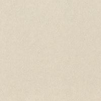 Товар: Обои RASCH Factory Style Винил на флизелине (1,06*10,05) Бежевый, Однотонный арт-947465 - фото 1 Обои RASCH Factory Style Винил на флизелине (1,06*10,05) Бежевый, Однотонный арт-947465 — фото 1, Обои для стен