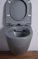 Унитаз Esbano Azalea подвесной Серый матовый с сиденьем Микролифт арт-ESUPAZALGM — фото 9, Подвесные унитазы