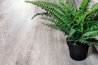 Виниловый ламинат Alpine Floor Classic ECO 134-5 Ясень Серый 1220х183х4 мм арт-ECO 134-5 MC — фото 3, Виниловый ламинат