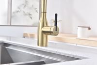 Смеситель для кухни Paulmark Universal Светлое брашированное золото арт-Un213880-SBG — фото 12, Смесители для кухни