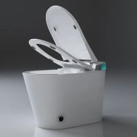 Товар: Унитаз биде Timo с сиденьем Микролифт арт-TE-741 - фото 9 Унитаз биде Timo с сиденьем Микролифт арт-TE-741 — фото 9, Умные унитазы