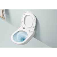 Унитаз Villeroy&Boch Subway 3.0 подвесной с сиденьем Микролифт арт-4670TS01 — фото 4, Подвесные унитазы