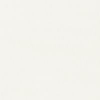 Обои Andrea Rossi Spectrum max Винил на флизелине (1,06*10) Белый, Однотонные арт-54359-2 — фото 1, Обои для стен