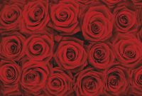 Фреска Ortograf Цветы 3214 Фактура бархат FX Флизелин (4*2,7) Красный, Цветы арт-3214 (бархат FX) — фото 2, Фрески