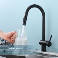 Смеситель для кухни Splenka Черный матовый арт-S204.49.06 — фото 4, Смесители для кухни