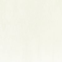 Обои Solo Elementary Винил на флизелине (1,06*10) Бежевый, Однотонные/Штукатурка арт-E300902 — фото 1, Обои для стен