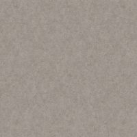 Обои LOYMINA A La Prima Флизелин (1*10,05) Серый, Штукатурка арт-Pm10 010 — фото 1, Обои для стен