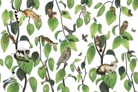 Товар: Фреска Ortograf Miracle 33862 Фактура флок FLK Флизелин (4,5*3) Белый/Зеленый, Листья/Животные/Птицы арт-33862 (флок FLK) - фото 2 Фреска Ortograf Miracle 33862 Фактура флок FLK Флизелин (4,5*3) Белый/Зеленый, Листья/Животные/Птицы арт-33862 (флок FLK) — фото 2, Фрески